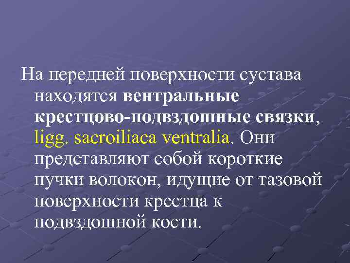 На передней поверхности сустава находятся вентральные крестцово-подвздошные связки, ligg. sacroiliaca ventralia. Они представляют собой