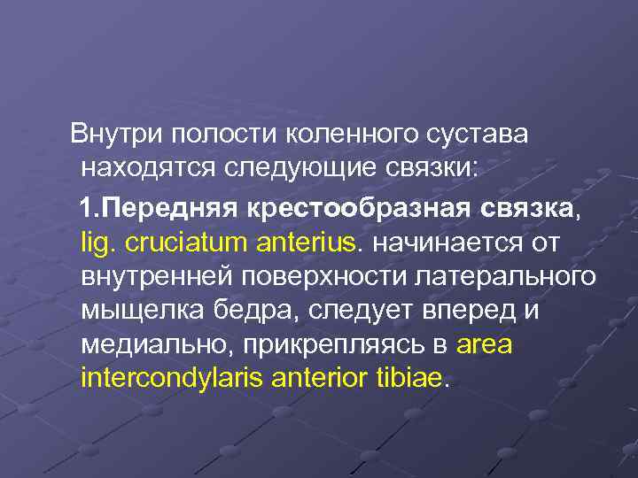 Внутри полости коленного сустава находятся следующие связки: 1. Передняя крестообразная связка, lig. cruciatum anterius.