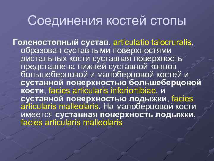 Соединения костей стопы Голеностопный сустав, articulatio talocruralis, образован суставными поверхностями дистальных кости суставная поверхность