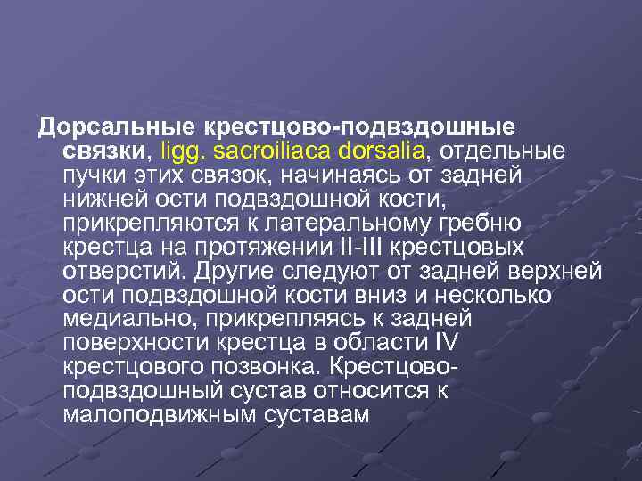 Дорсальные крестцово-подвздошные связки, ligg. sacroiliaca dorsalia, отдельные пучки этих связок, начинаясь от задней нижней