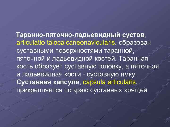 Таранно-пяточно-ладьевидный сустав, articulatio talocalcaneonavicularis, образован суставными поверхностями таранной, пяточной и ладьевидной костей. Таранная кость