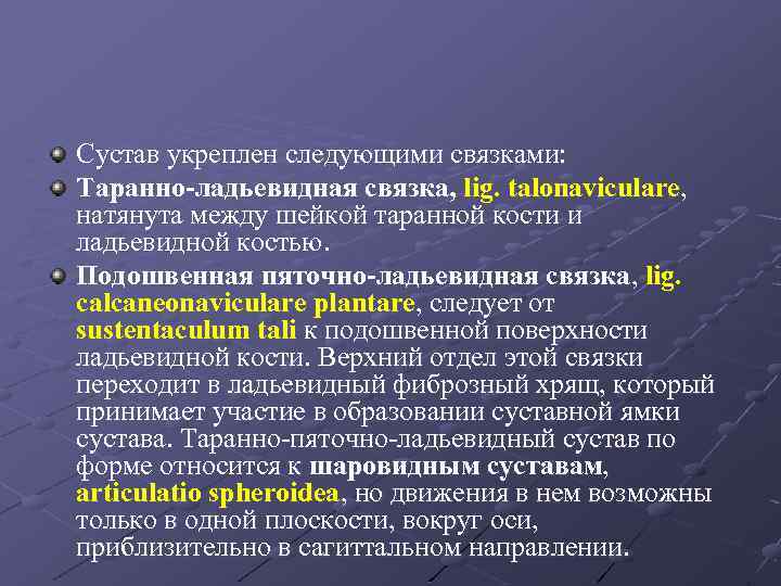 Сустав укреплен следующими связками: Таранно-ладьевидная связка, lig. talonaviculare, натянута между шейкой таранной кости и