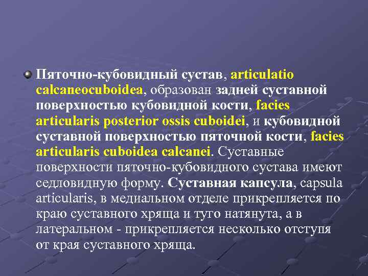 Пяточно-кубовидный сустав, articulatio calcaneocuboidea, образован задней суставной поверхностью кубовидной кости, facies articularis posterior ossis