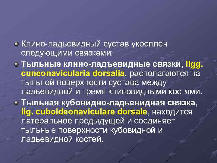 Клино-ладьевидный сустав укреплен следующими связками: Тыльные клино-ладъевидные связки, ligg. cuneonavicularia dorsalia, располагаются на тыльной