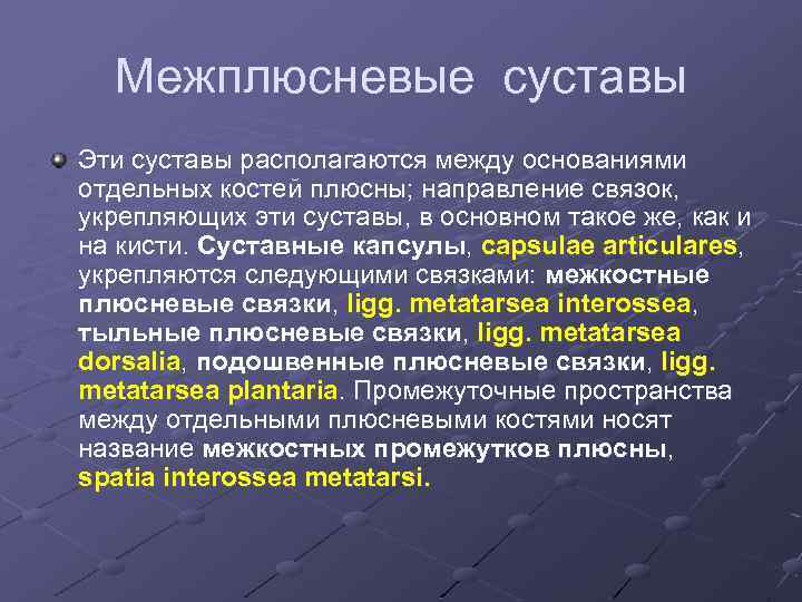 Межплюсневые суставы Эти суставы располагаются между основаниями отдельных костей плюсны; направление связок, укрепляющих эти