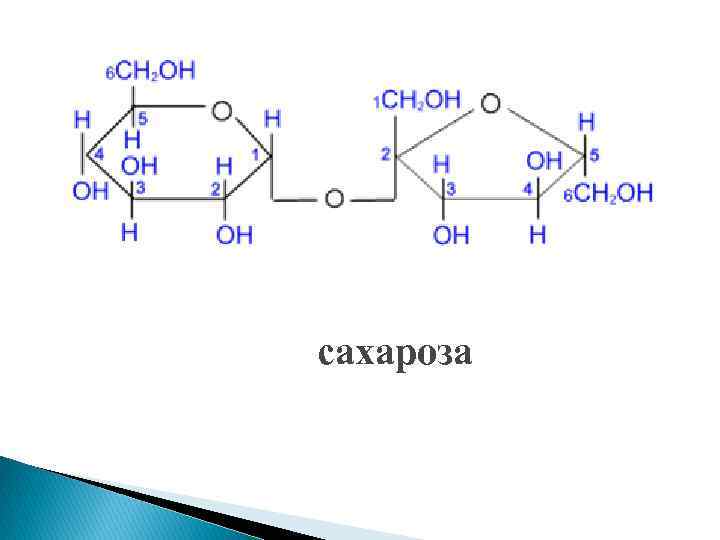 Рисунок сахароза геншин