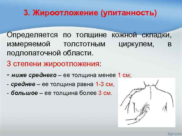 3. Жироотложение (упитанность) Определяется по толщине кожной складки, измеряемой толстотным циркулем, в подлопаточной области.