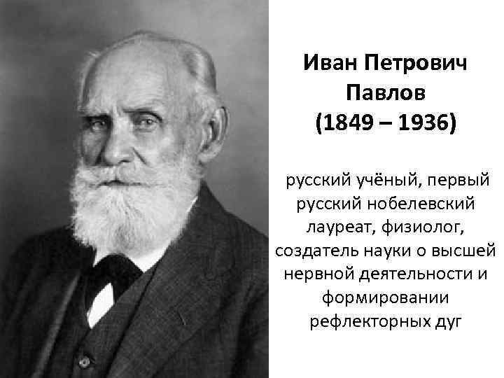 Иван Петрович Павлов (1849 – 1936) русский учёный, первый русский нобелевский лауреат, физиолог, создатель