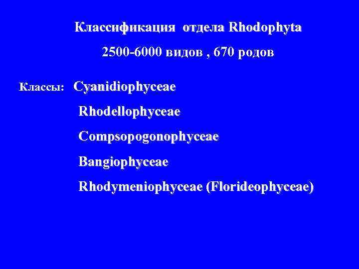 Классификация отдела Rhodophyta 2500 -6000 видов , 670 родов Классы: Cyanidiophyceae Rhodellophyceae Compsopogonophyceae Bangiophyceae