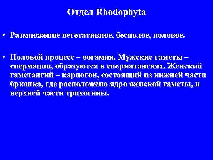 Отдел Rhodophyta • Размножение вегетативное, бесполое, половое. • Половой процесс – оогамия. Мужские гаметы