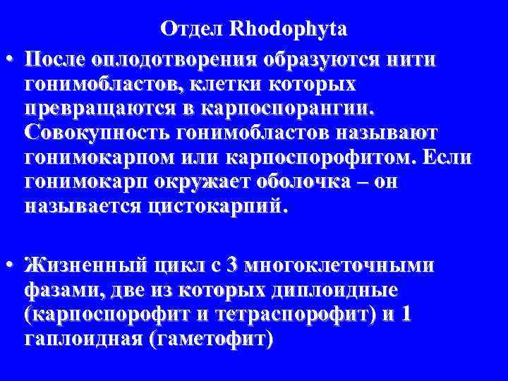 Отдел Rhodophyta • После оплодотворения образуются нити гонимобластов, клетки которых превращаются в карпоспорангии. Совокупность