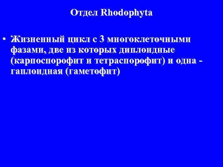 Отдел Rhodophyta • Жизненный цикл с 3 многоклеточными фазами, две из которых диплоидные (карпоспорофит