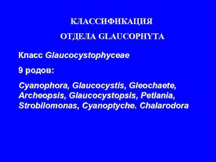 КЛАССИФИКАЦИЯ ОТДЕЛА GLAUСOPHYTA Класс Glaucocystophyceae 9 родов: Cyanophora, Glaucocystis, Gleochaete, Archeopsis, Glaucocystopsis, Petiania, Strobilomonas,