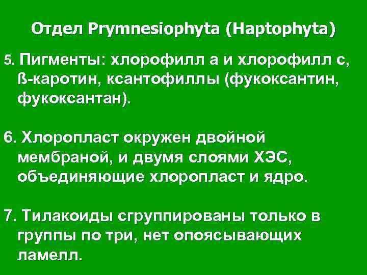 Отдел Prymnesiophyta (Haptophyta) 5. Пигменты: хлорофилл а и хлорофилл с, ß-каротин, ксантофиллы (фукоксантин, фукоксантан).