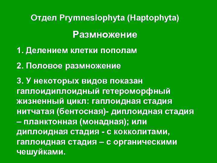 Отдел Prymnesiophyta (Haptophyta) Размножение 1. Делением клетки пополам 2. Половое размножение 3. У некоторых