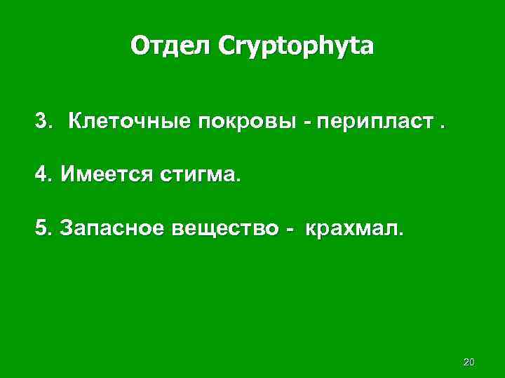 Отдел Cryptophyta 3. Клеточные покровы - перипласт. 4. Имеется стигма. 5. Запасное вещество -