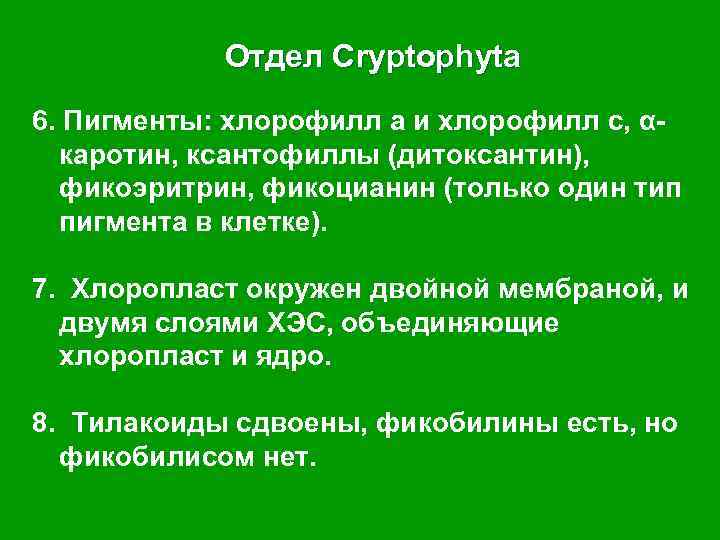 Отдел Cryptophyta 6. Пигменты: хлорофилл а и хлорофилл с, αкаротин, ксантофиллы (дитоксантин), фикоэритрин, фикоцианин