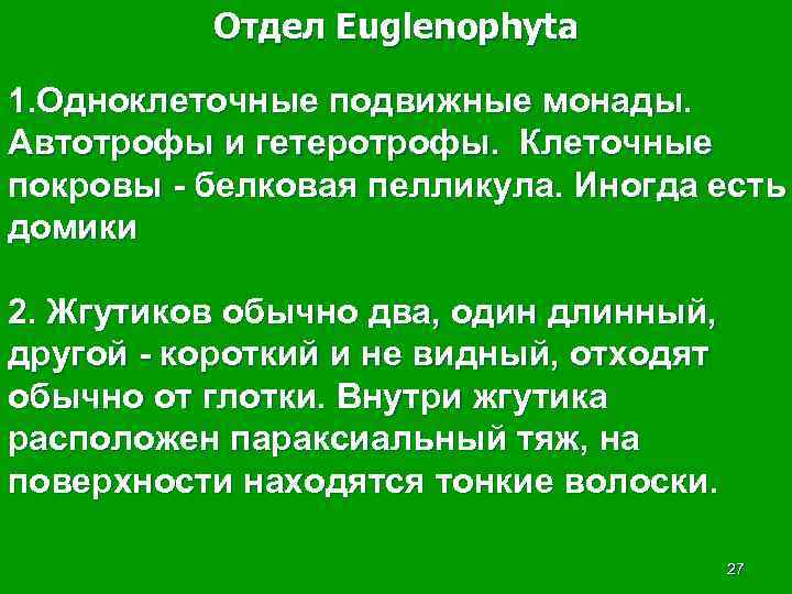 Отдел Euglenophyta 1. Одноклеточные подвижные монады. Автотрофы и гетеротрофы. Клеточные покровы - белковая пелликула.