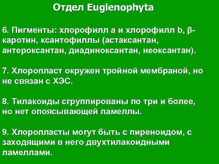 Отдел Euglenophyta 6. Пигменты: хлорофилл а и хлорофилл b, βкаротин, ксантофиллы (астаксантан, антероксантан, диадиноксантан,