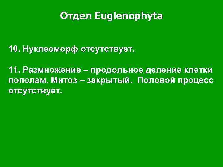 Отдел Euglenophyta 10. Нуклеоморф отсутствует. 11. Размножение – продольное деление клетки пополам. Митоз –