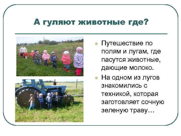 А гуляют животные где? l l Путешествие по полям и лугам, где пасутся животные,