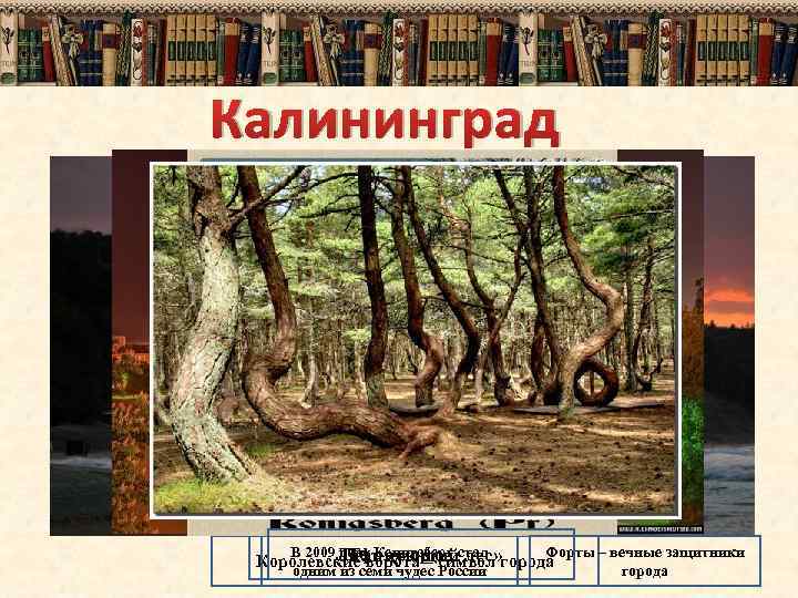 Калининград В 2009 Лифт к морю стал году Кенигсберг Форты – вечные защитники «Танцующий