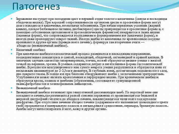 Патогенез Заражение наступает при попадании цист в верхний отдел толстого кишечника (слепая и восходящая