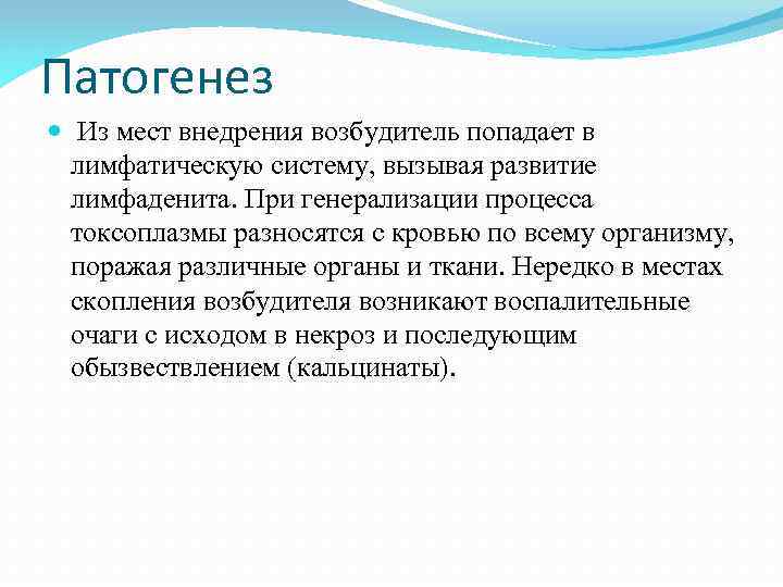 Патогенез Из мест внедрения возбудитель попадает в лимфатическую систему, вызывая развитие лимфаденита. При генерализации