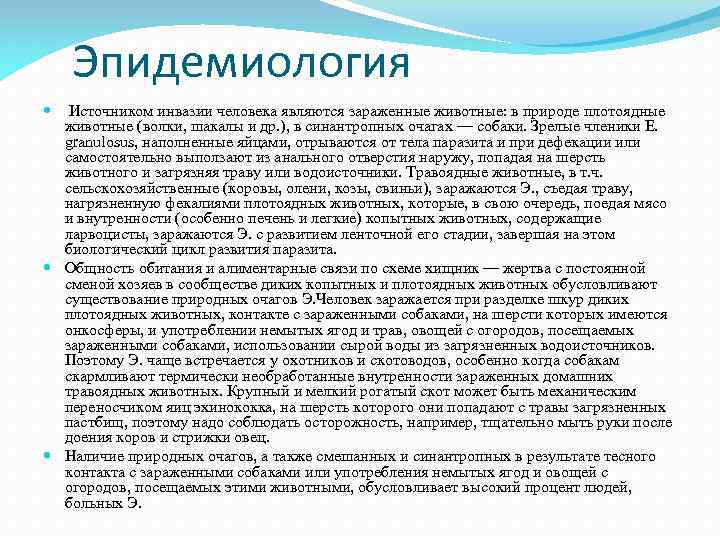 Эпидемиология Источником инвазии человека являются зараженные животные: в природе плотоядные животные (волки, шакалы и