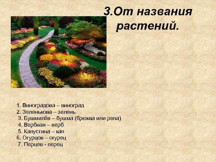 3. От названия растений. • 1. Виноградова – виноград 2. Зеленькова – зелень 3.