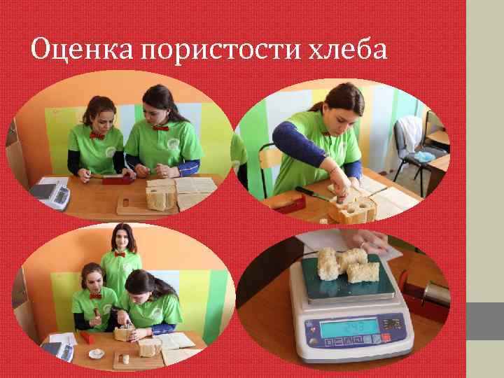 Оценка пористости хлеба 