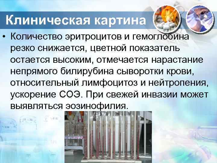 Клиническая картина • Количество эритроцитов и гемоглобина резко снижается, цветной показатель остается высоким, отмечается