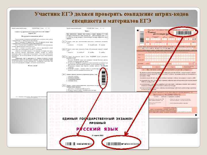 Участник ЕГЭ должен проверить совпадение штрих-кодов спецпакета и материалов ЕГЭ КИМ № 55515111 БР