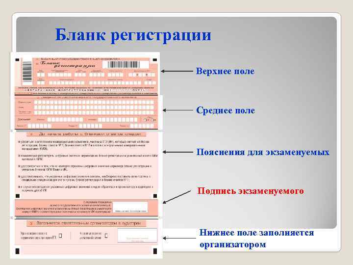 Бланк регистрации Верхнее поле Среднее поле Пояснения для экзаменуемых Подпись экзаменуемого Нижнее поле заполняется
