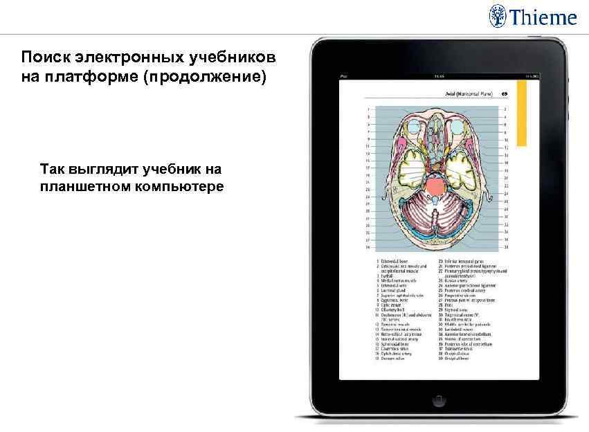 Поиск электронных учебников на платформе (продолжение) Так выглядит учебник на планшетном компьютере 