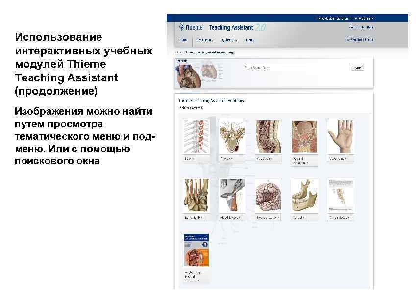 Использование интерактивных учебных модулей Thieme Teaching Assistant (продолжение) Изображения можно найти путем просмотра тематического