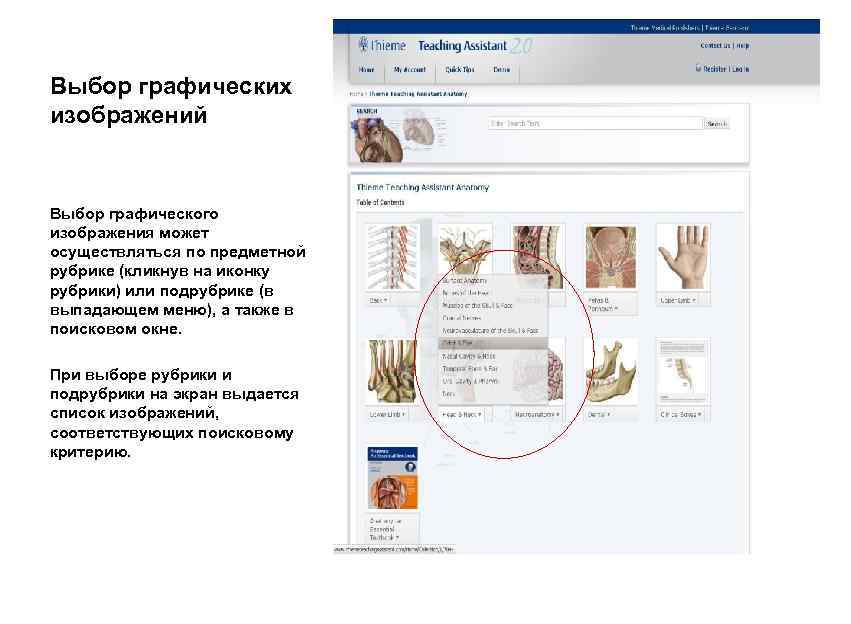 Выбор графических изображений Выбор графического изображения может осуществляться по предметной рубрике (кликнув на иконку