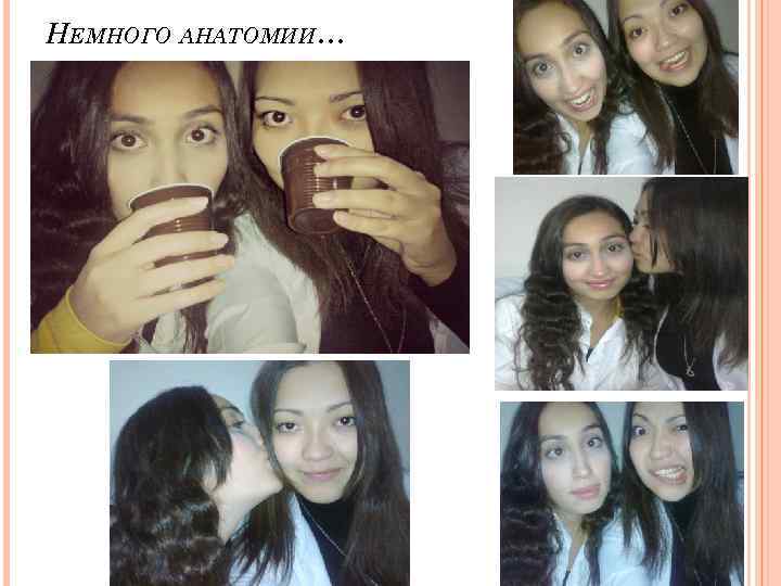 НЕМНОГО АНАТОМИИ… 
