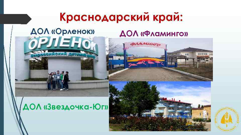 Краснодарский край: ДОЛ «Орленок» ДОЛ «Звездочка-Юг» ДОЛ «Фламинго» 