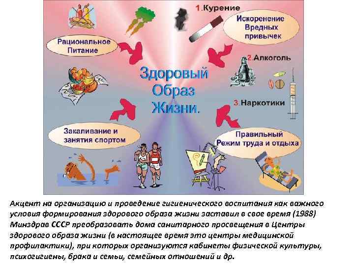 План обучения принципам здорового образа жизни