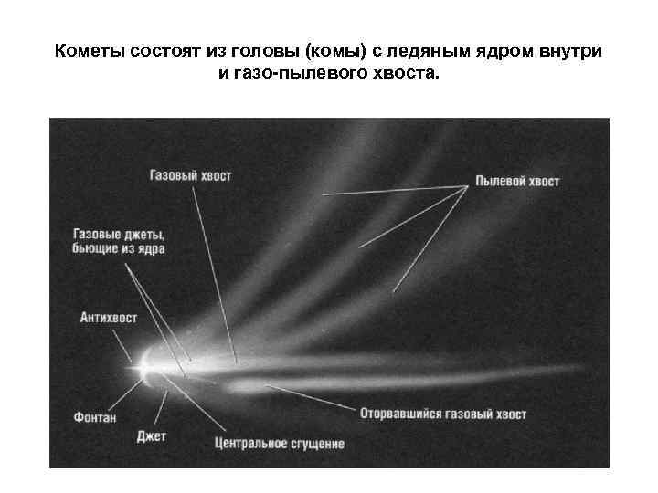 Кометы состоят из головы (комы) с ледяным ядром внутри и газо-пылевого хвоста. 