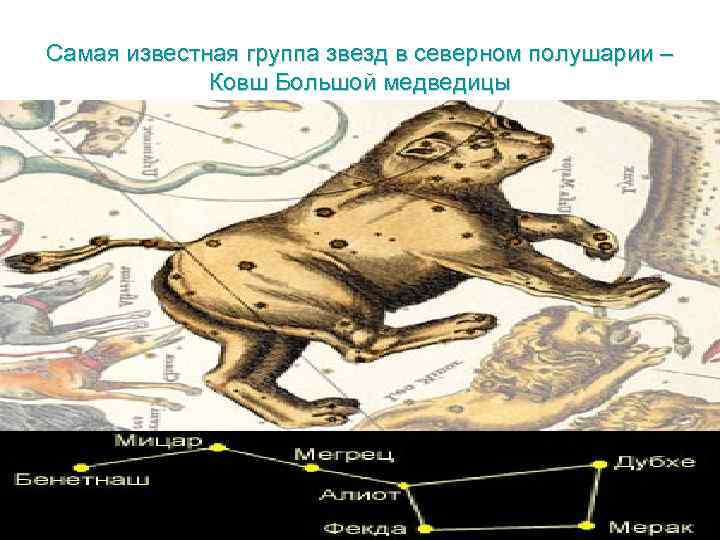 Самая известная группа звезд в северном полушарии – Ковш Большой медведицы 