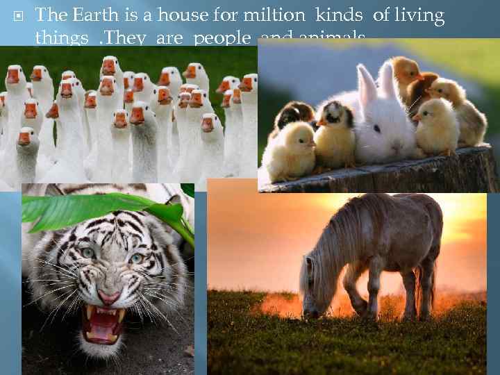  The Earth is a house for miltion kinds of living things. They are