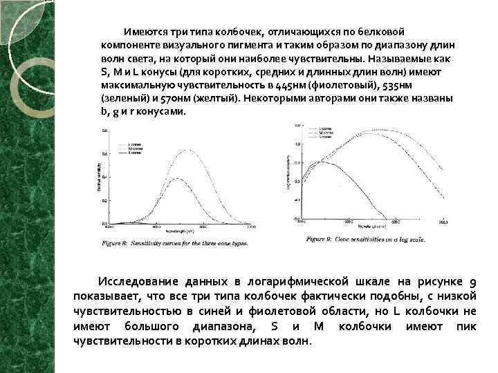  Имеются три типа колбочек, отличающихся по белковой компоненте визуального пигмента и таким образом