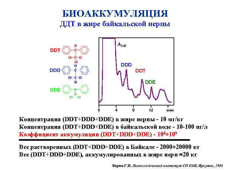 БИОАККУМУЛЯЦИЯ ДДТ в жире байкальской нерпы A 240 DDD DDT DDE 0 4 8