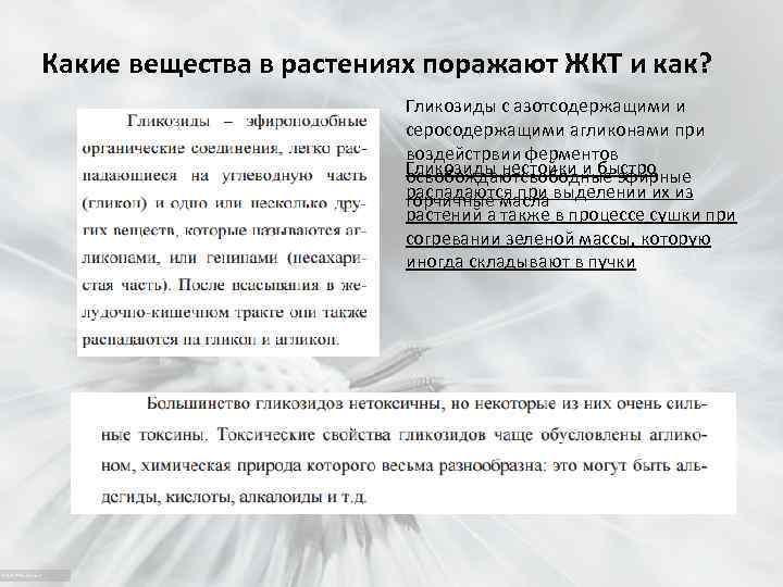 Какие вещества в растениях поражают ЖКТ и как? Гликозиды с азотсодержащими и серосодержащими агликонами