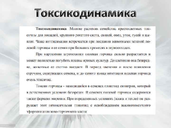 Токсикодинамика 