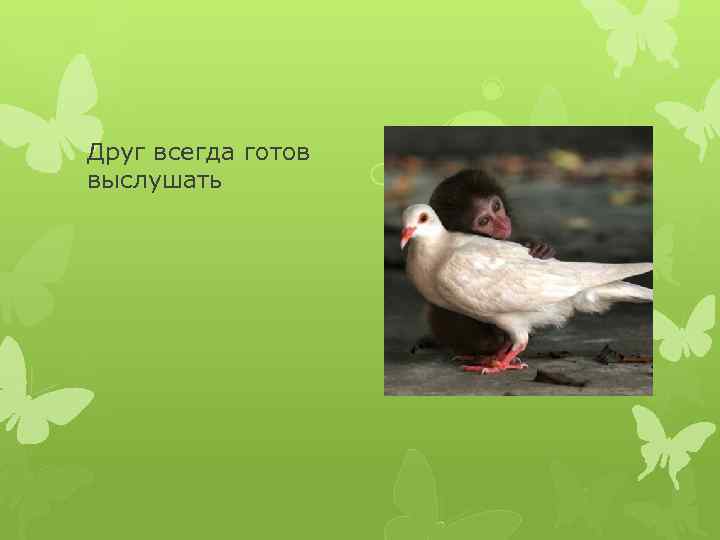 Друг всегда готов выслушать 