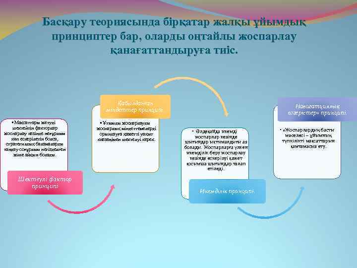 Басқару теориясында бірқатар жалқы ұйымдық принциптер бар, оларды оңтайлы жоспарлау қанағаттандыруға тиіс. Қабылданған міндеттер