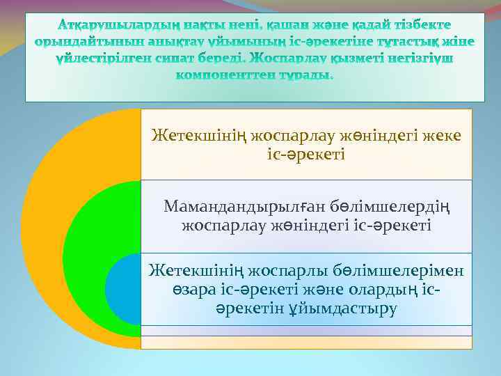 Жетекшінің жоспарлау жөніндегі жеке іс-әрекеті Мамандандырылған бөлімшелердің жоспарлау жөніндегі іс-әрекеті Жетекшінің жоспарлы бөлімшелерімен өзара